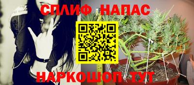 гидра Краснокаменск