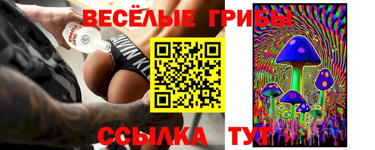 Галлюциногенные грибы ЛСД Кашира