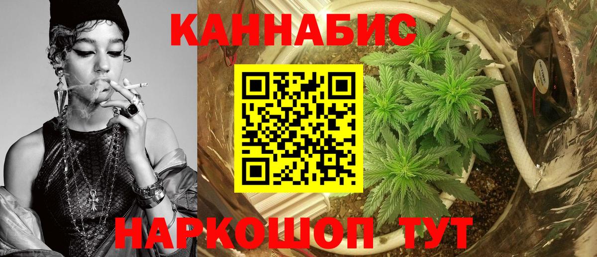 Канабис SATIVA & INDICA Кашира